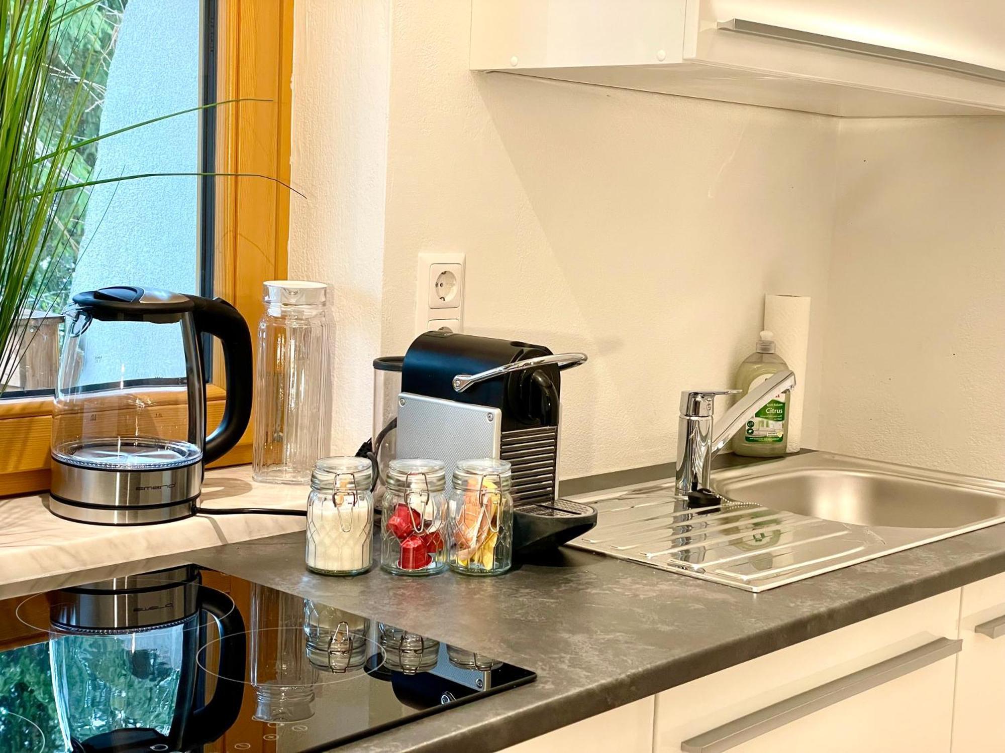 רמסאו אם דכשטיין Appartement Steinfisch מראה חיצוני תמונה